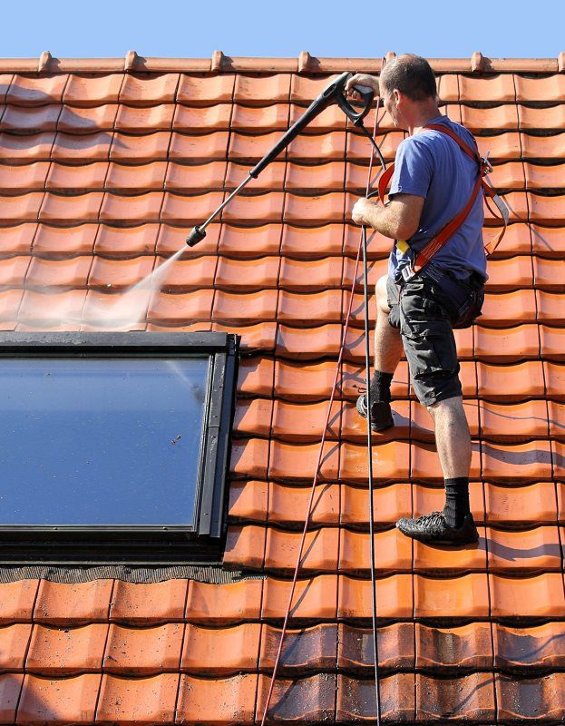 Premium Roof Cleaning Service