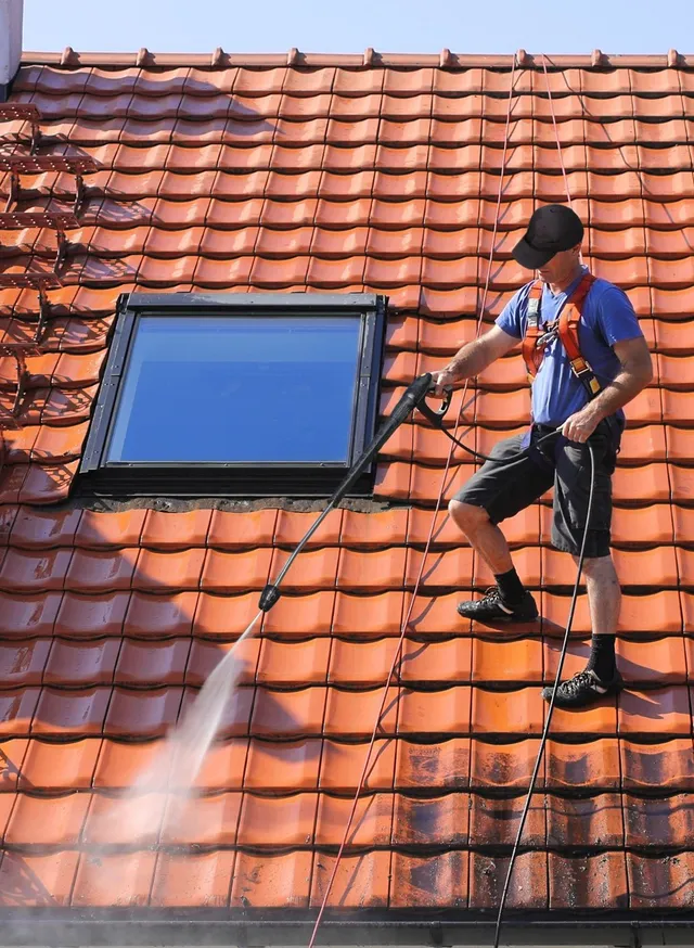 supp-roof-cleaning